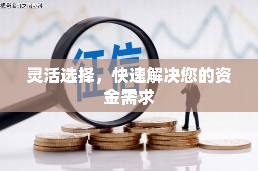 吉木乃灵活选择，快速解决您的资金需求