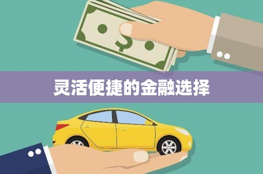 运城灵活便捷的金融选择