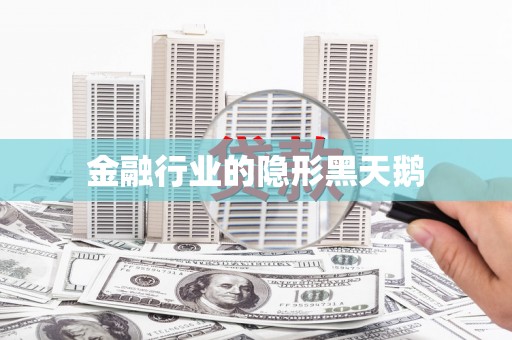 新园金融行业的隐形黑天鹅