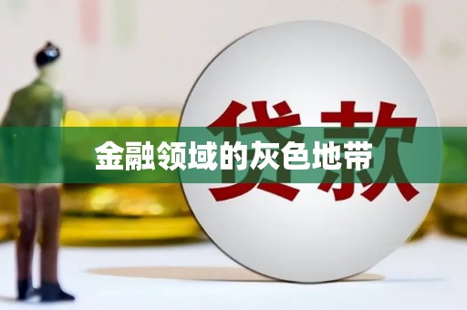 新园金融领域的灰色地带