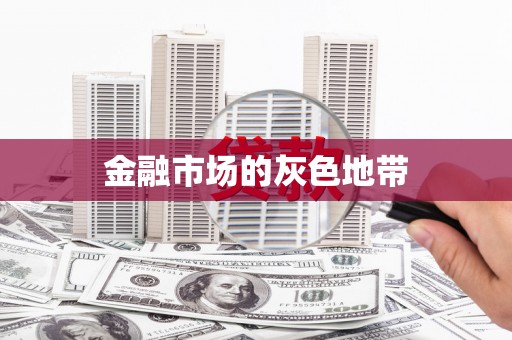 新园金融市场的灰色地带