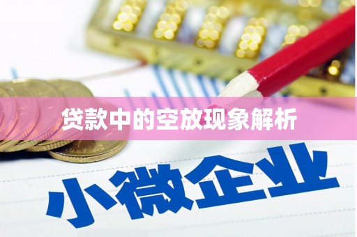 新园贷款中的空放现象解析