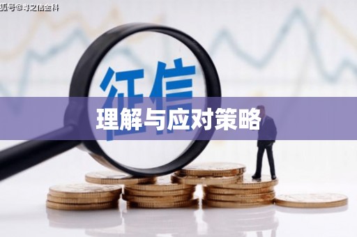 集美理解与应对策略