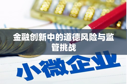 小榄金融创新中的道德风险与监管挑战