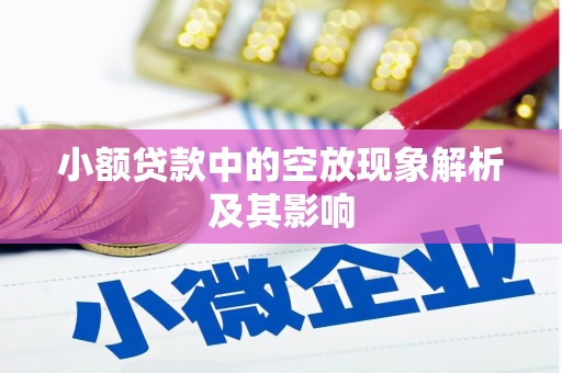 隆林小额贷款中的空放现象解析及其影响