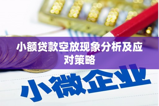 资阳小额贷款空放现象分析及应对策略