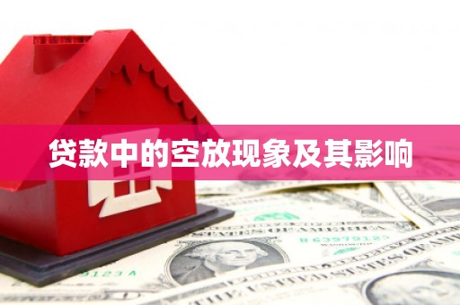 化州贷款中的空放现象及其影响