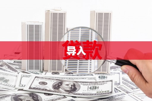 新抚导入