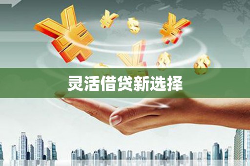 新抚灵活借贷新选择