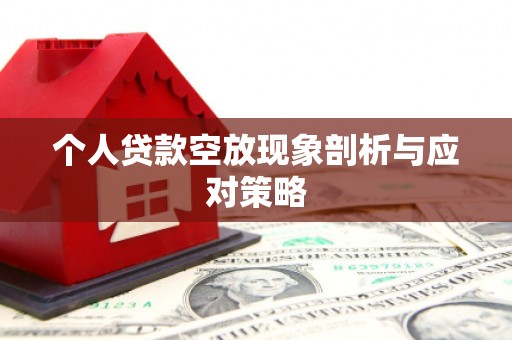 海盐个人贷款空放现象剖析与应对策略