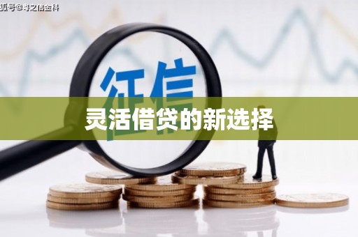 沙河口灵活借贷的新选择