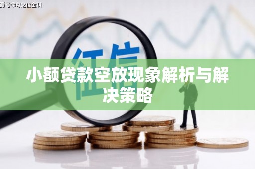 海盐小额贷款空放现象解析与解决策略