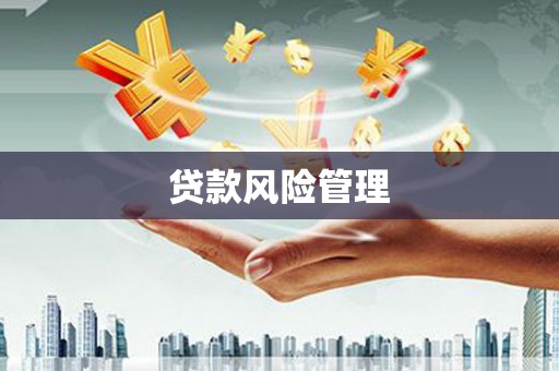 云阳贷款风险管理